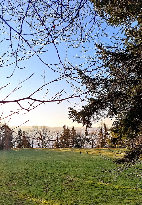 Nature préservée